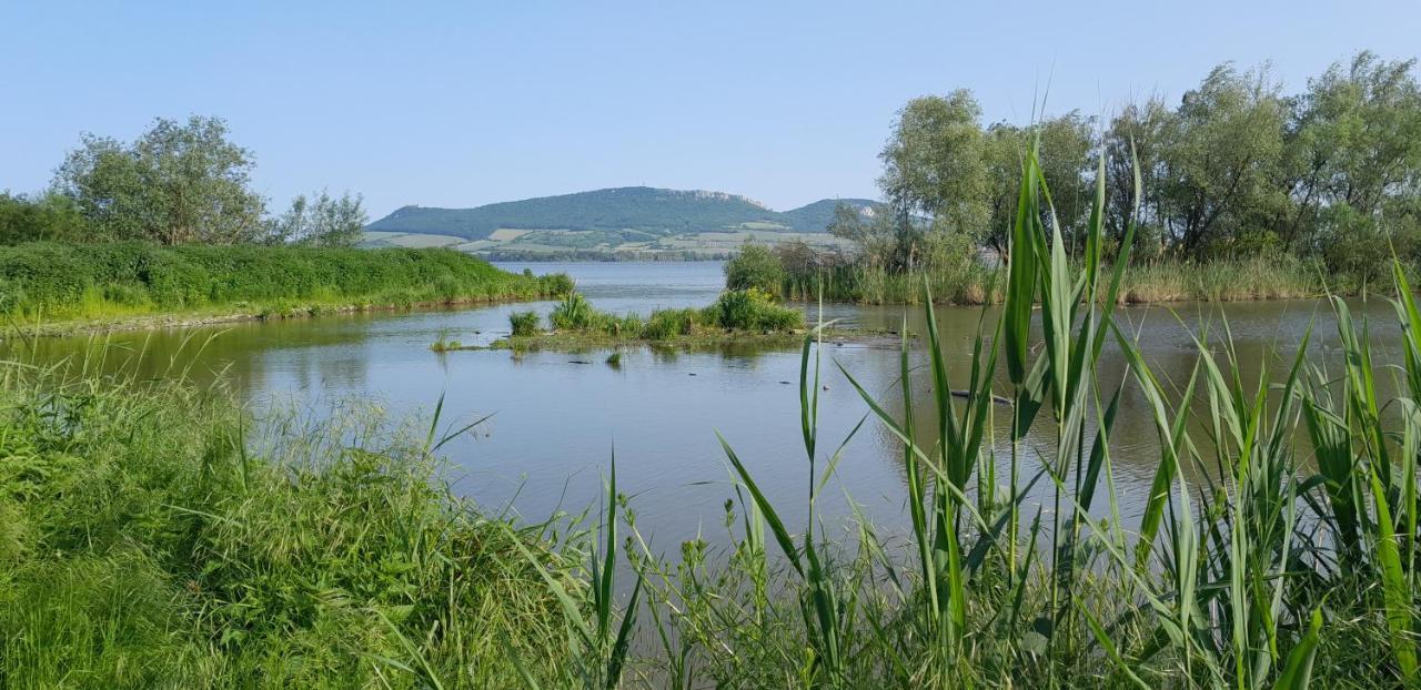 Ubytovani Na Sklepe U Prochazku Pouzdrany Εξωτερικό φωτογραφία